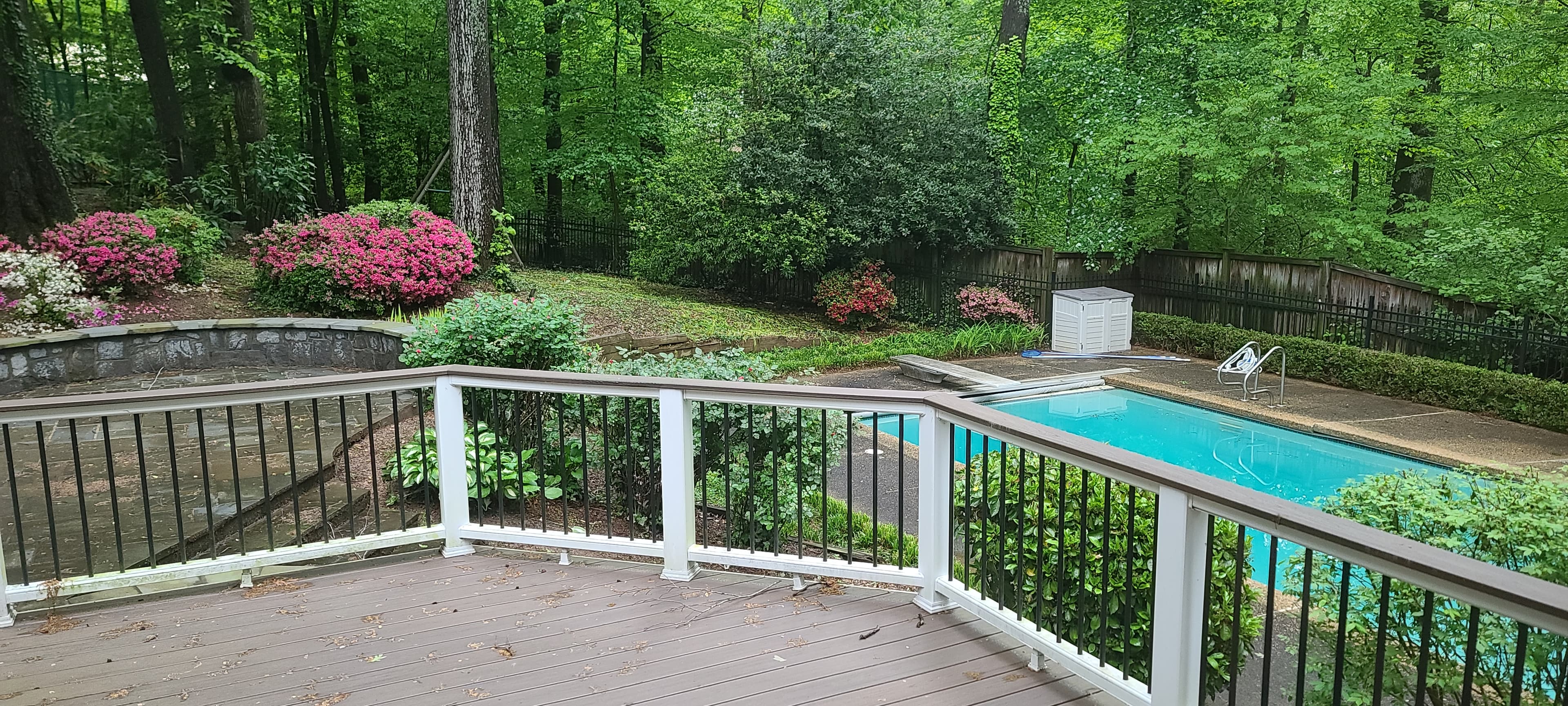 Native trees and flowers across the property