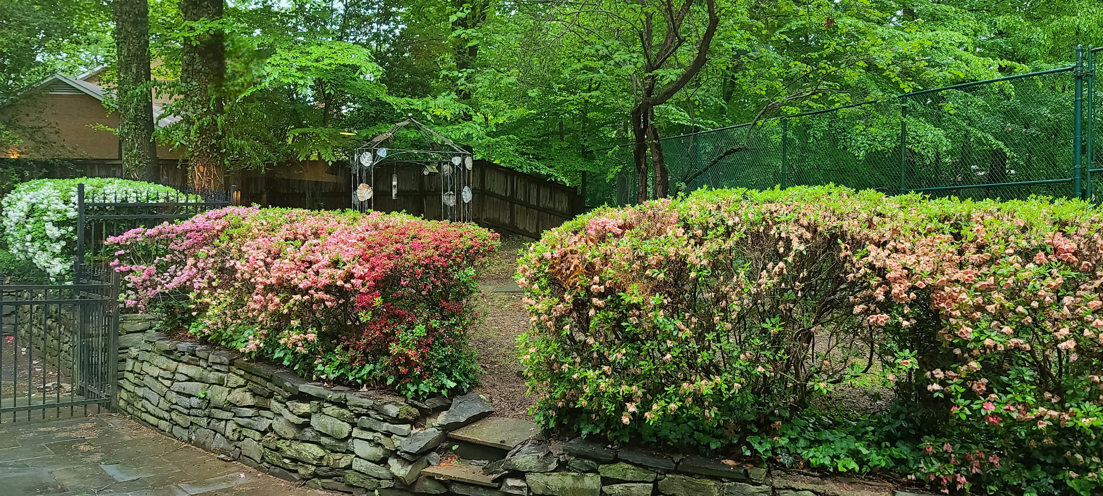 Tennis court and flower garden view